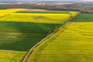 Čak 64 posto globalnog poljoprivrednog zemljišta u riziku zbog zagađenja pesticidima?