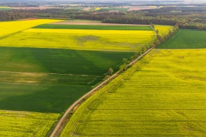 Čak 64 odsto globalnog poljoprivrednog zemljišta u riziku zbog zagađenja pesticidima?