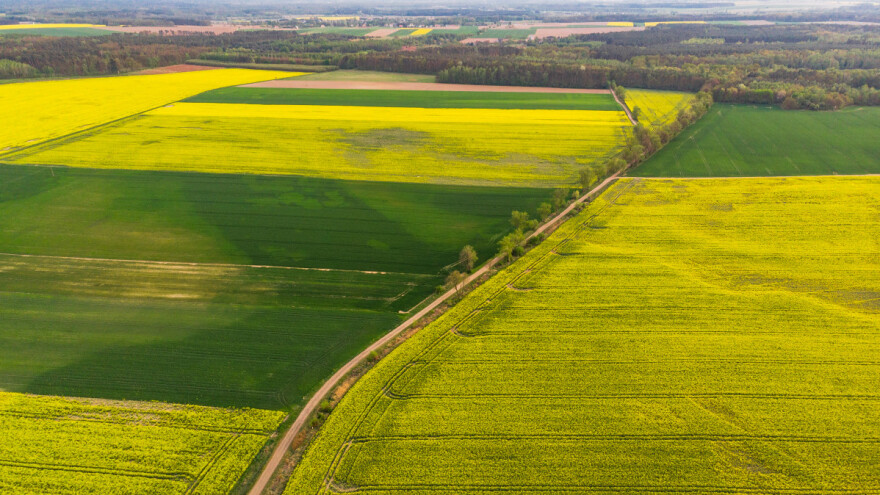 Čak 64 posto globalnog poljoprivrednog zemljišta u riziku zbog zagađenja pesticidima?