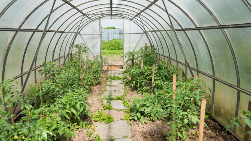 Za 13 socijalno ugroženih domaćinstava obezbjeđeni plastenici
