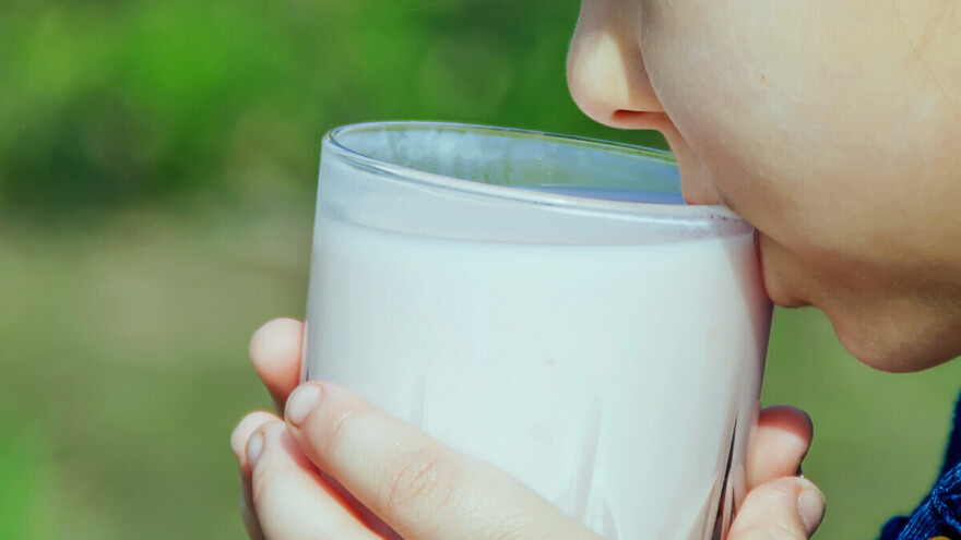 Punomasno mlijeko ne izaziva pretilost kod djece?