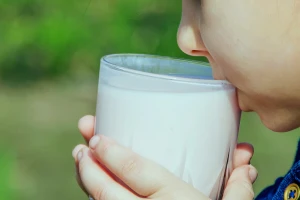 Punomasno mleko ne izaziva gojaznost kod dece?