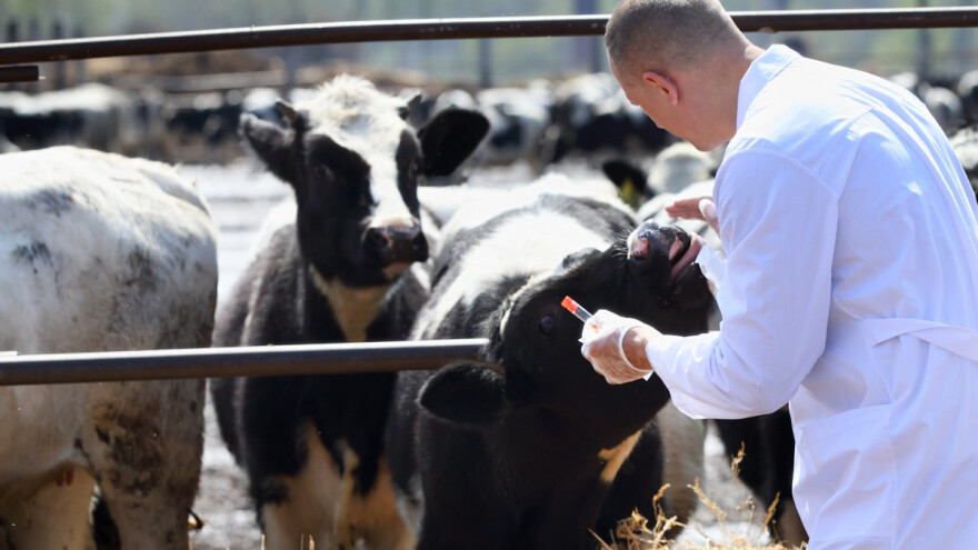 Upotreba antibiotika: UN predlaže globalno smanjenje, EU zabranu od siječnja 2022.