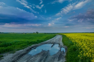 Kakvo nas vreme čeka ovog proleća - red suše, oluja pa i mraza?