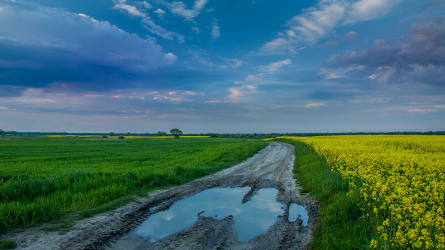 Vreme promenljivo: Česte kiše pogoduju razvoju bolesti na voću