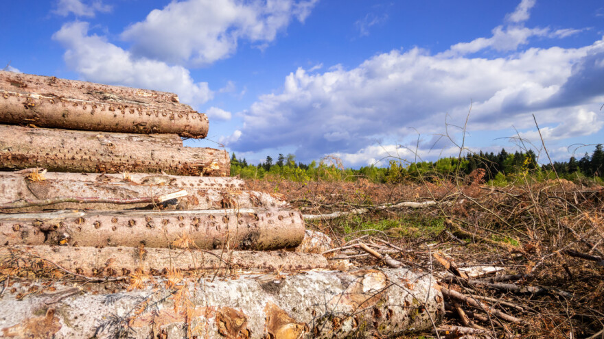 Klöckner: Šume najviše uništava pretvorba u poljoprivredno zemljište