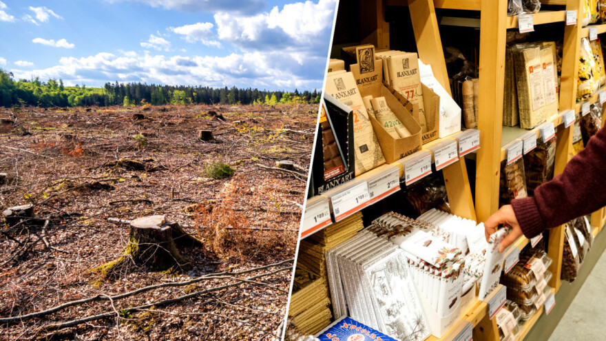 Iza mnogih namirnica koje svakodnevno konzumiramo stoji ilegalno krčenje šuma