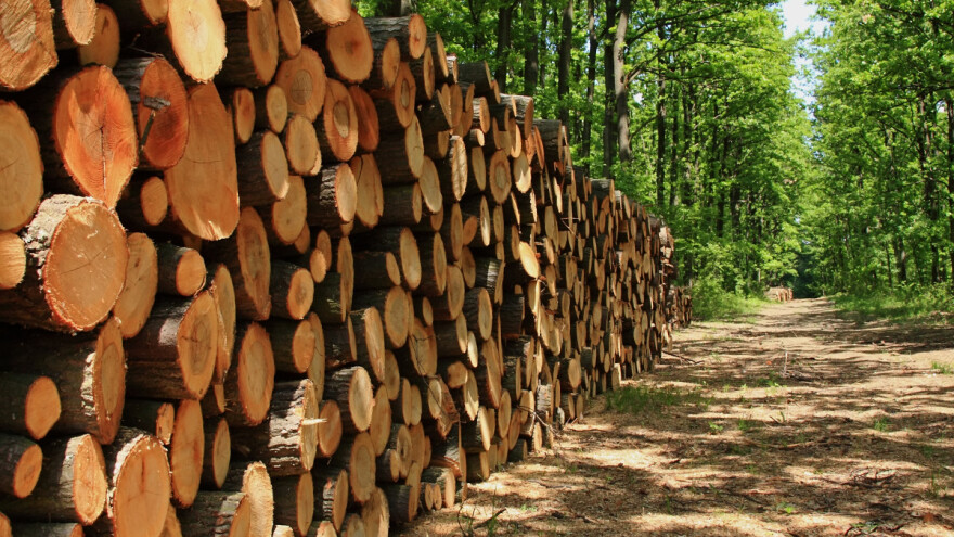 Objavljene inicijalne rang liste za dva natječaja iz mjere 8