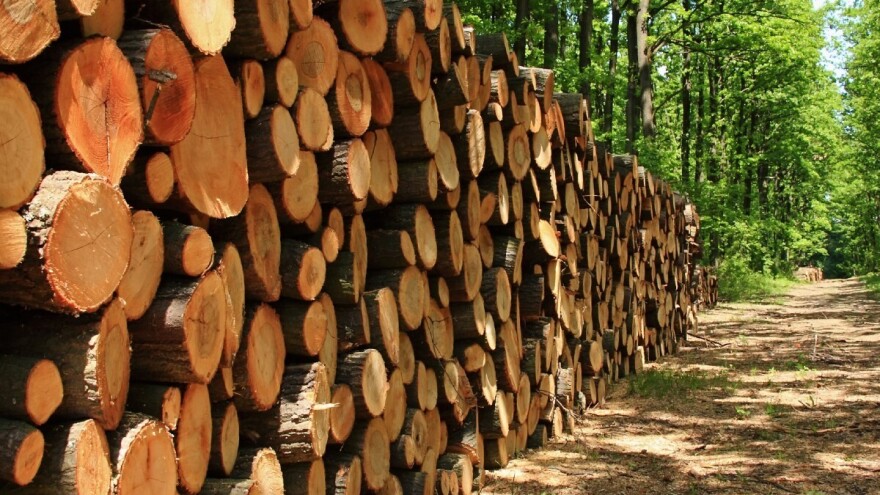 Posavina prodaje drvne sortimente: Ima za preradu, ali i ogrjev