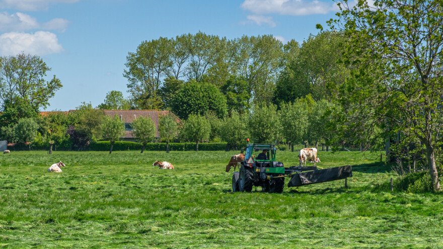 Kosačice s dvostrukim oštricama bolje za životnu sredinu - šta je njihova mana?