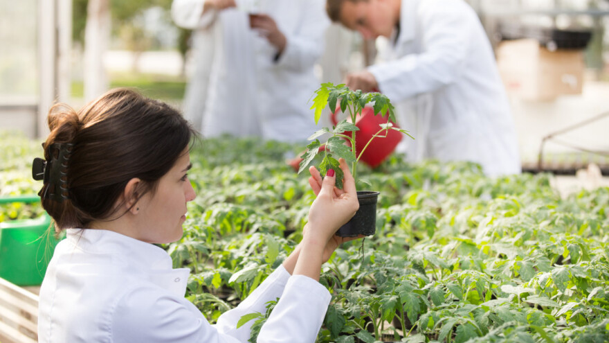 Prilika za studente iz BiH: Mađarska stipendira master studije u Budimpešti