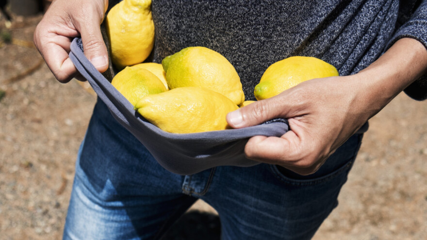 Paul Bradbury: Ubrati voćku svojom rukom turistima je nezaboravno iskustvo