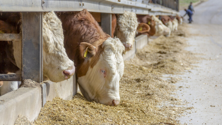 VAM tehnologije u poljoprivredi - šta znače za kvalitet uzgoja?