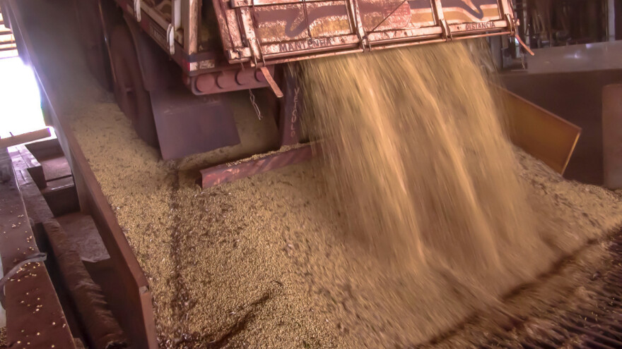 Ledeni val u SAD-u povećao cijenu pšenice?