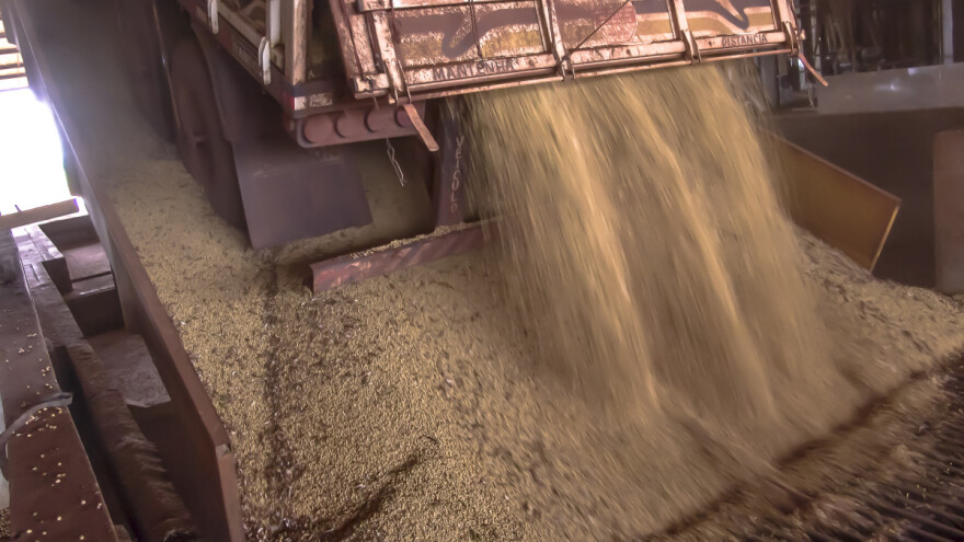 EU previše ovisi o uvozu: Mora postati samodostatna u proizvodnji hrane