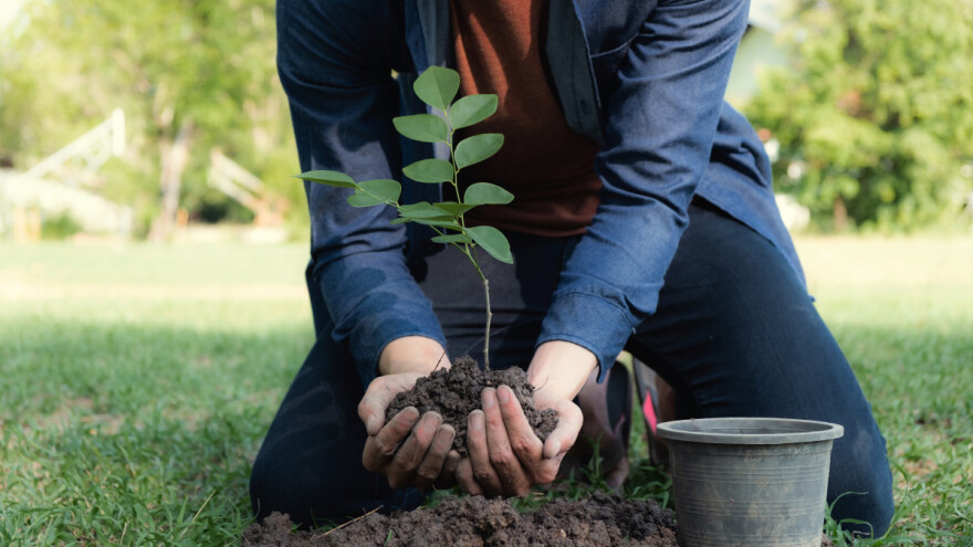 Prijavite se na besplatan seminar održivosti ekologije u poljoprivrednoj proizvodnji