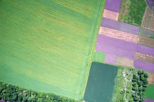 Što su vegetacijski indeksi, koji su i čemu služe?