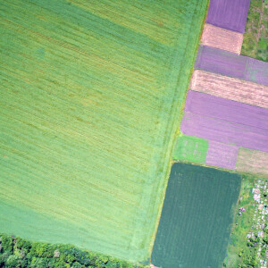 Što su vegetacijski indeksi, koji su i čemu služe?