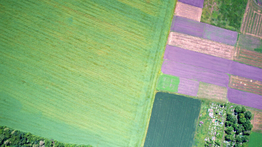 Što su vegetacijski indeksi, koji su i čemu služe?