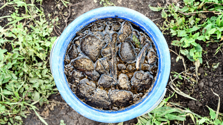 Kunapajala - zaboravljeni biopesticid star hiljadu godina