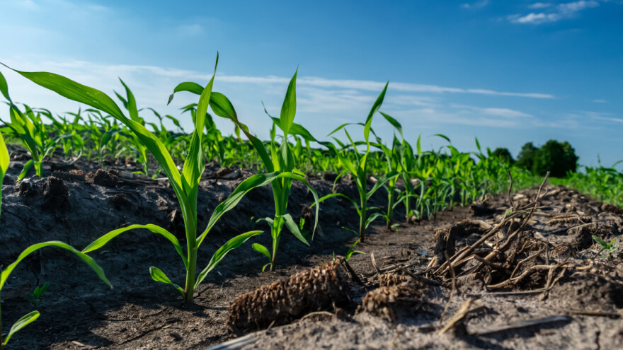 Karbonski krediti? Evo kako zaraditi novac skladištenjem CO2 u zemljištu