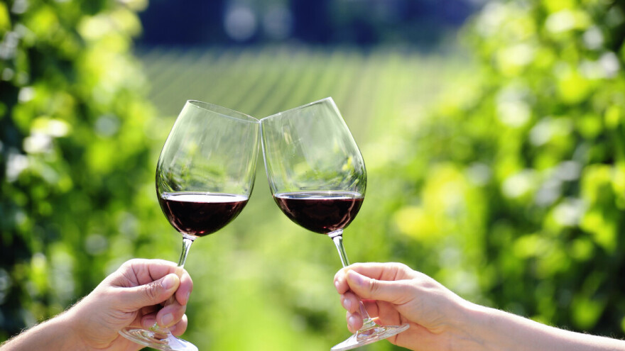 Više od 50 vinarija očekuje vas na 24. Danu otvorenih podruma u Istri