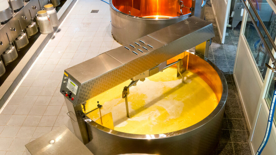 Ruska Dolina sira: Proizvođačima daju zemljište, infrastrukturu i subvencije