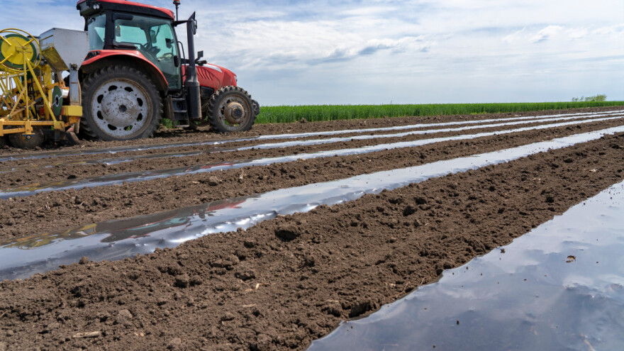 Alternativa plastičnoj malč foliji - nanosi se prskalicom i biorazgradiva je