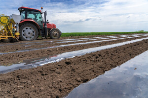 Alternativa plastičnoj malč foliji - nanosi se prskalicom i biorazgradiva je