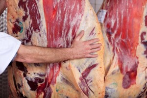 Košarac: BiH očekuje pozitivan odgovor iz Brisela o izvozu crvenog mesa