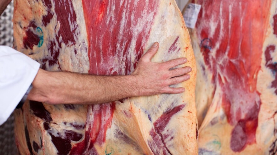 Košarac: BiH očekuje pozitivan odgovor iz Brisela o izvozu crvenog mesa