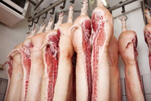 Cijene prasića i svinjetine povećava trka za profitom