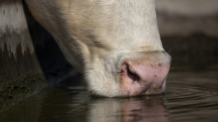 Kako spriječiti smrzavanje vode u pojilicama?