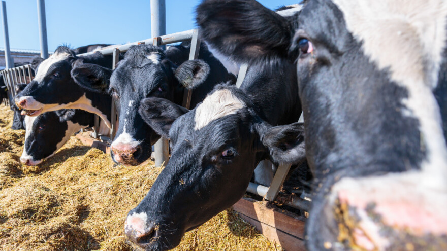 Gdje se u EU proizvodi najviše žitarica, a gdje mlijeka?