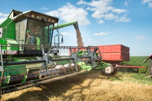 Rast cena na Produktnoj berzi: Kukuruz 32, pšenica 36, soja 71 dinar za kilogram