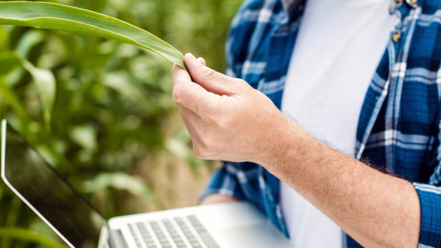 Upisnik poljoprivrednih gospodarstava - što je sve potrebno?
