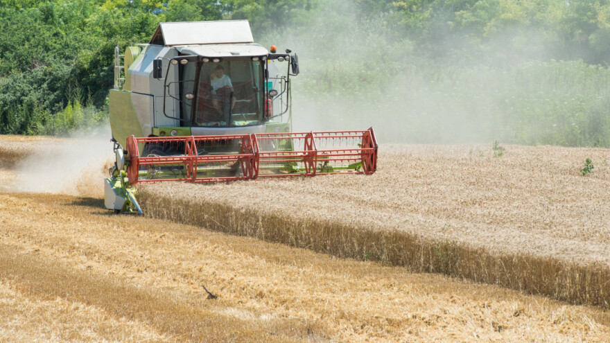 Dugoročna prognoza: Evropu čeka natprosječno toplo, vruće ljeto