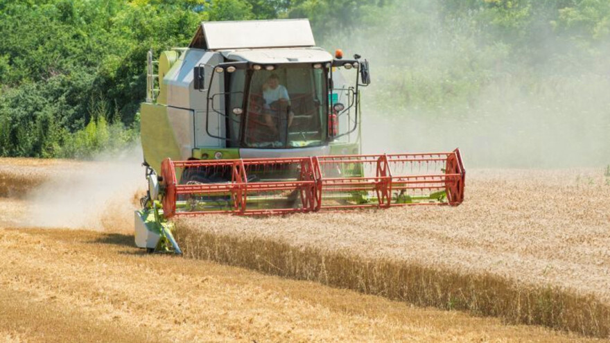 Pri kraju žetva pšenice, prihod i kvalitet loš