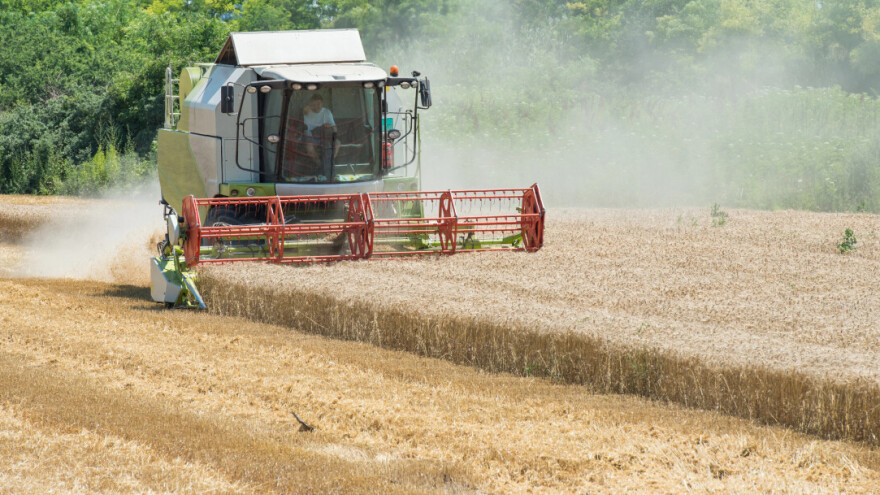 Šta uzrokuje rast cena žitarica na berzama?