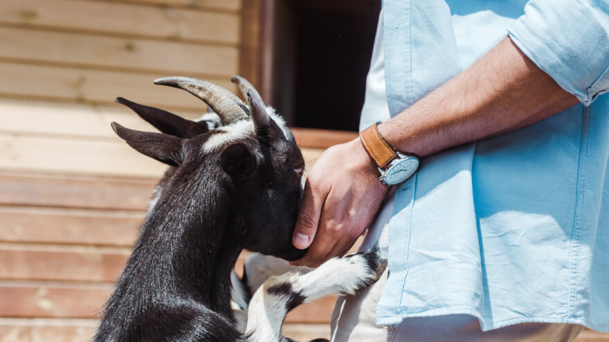 Kako podići poljodjelstvo, a iz naših polja, oranica i škrtih kamenjara izvući više?
