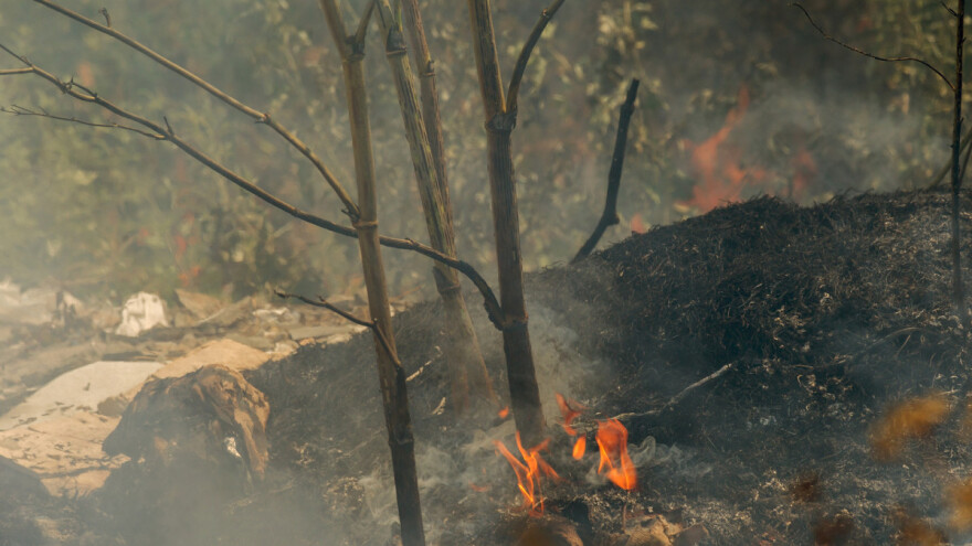 U Hercegovini gore šume - vatra se približila okolnim kućama