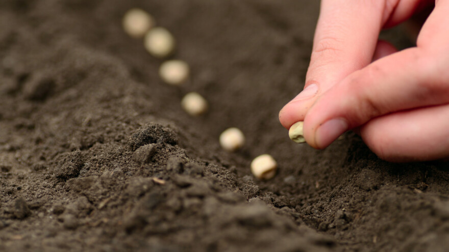 Ministarstvo poljoprivrede: Novim Zakonom o sjemenu ne donose se nikakva ograničenja