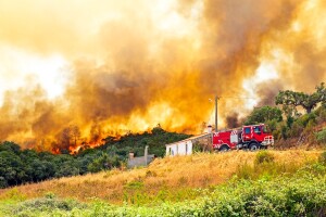 Evropom haraju šumski požari - izgorjelo više od 600.000 ha