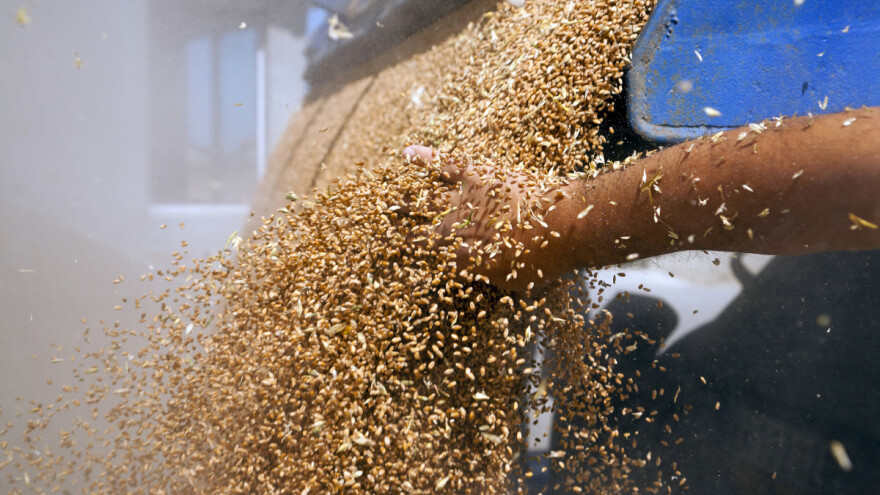 Brexit donosi pad proizvodnje žitarica Velikoj Britaniji?