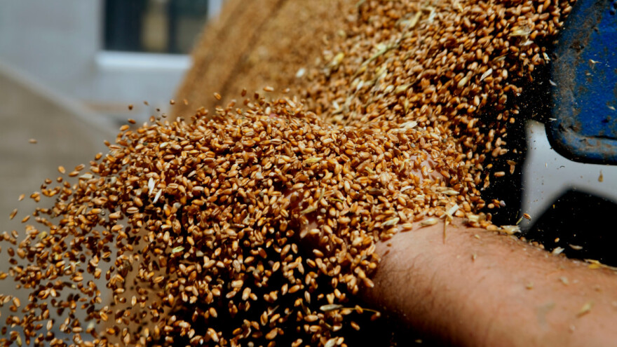 Ne može to tako: 12 zemalja oštro o zabrani uvoza iz Ukrajine