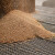 Kukuruz 33,8, a pšenica 43,2 dinara za kilogram na Produktnoj berzi