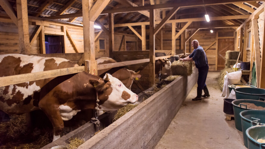 Svako zlo za neko dobro: Što možemo naučiti od slučaja koronavirusa?