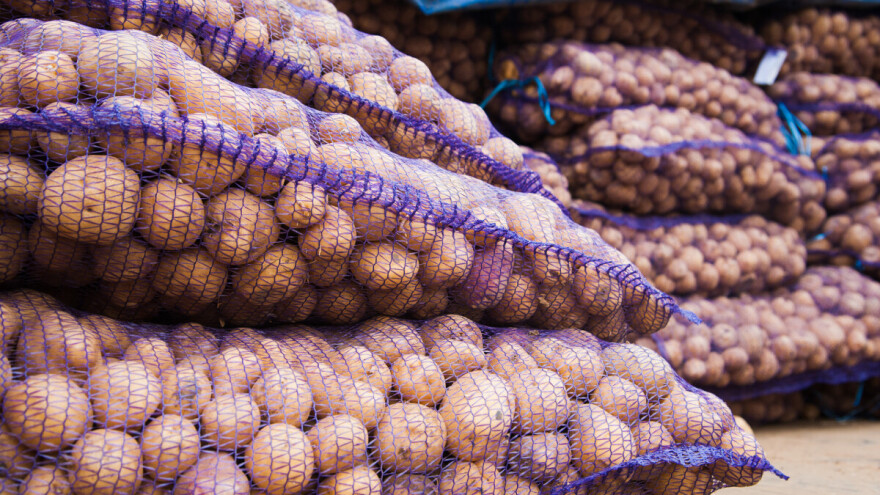 Kako izbeći najznačajnije bolesti krompira u skladištu?