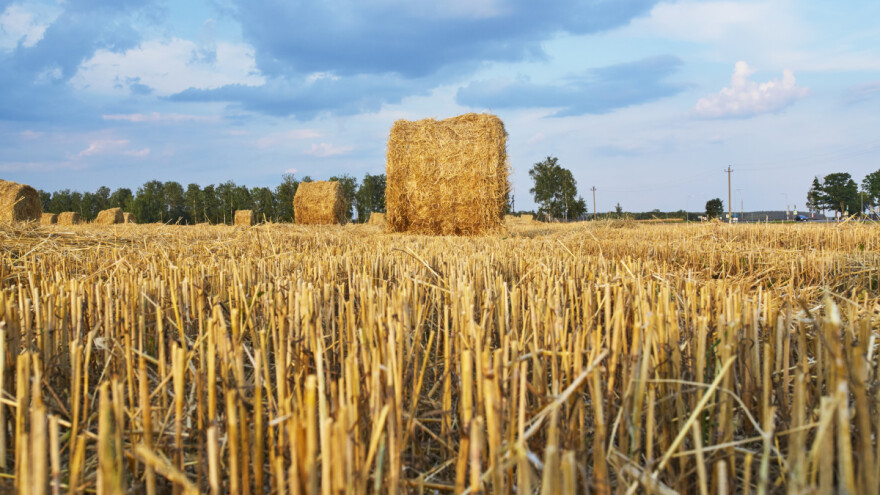 Online događaj: Saznajte koji su potencijali korištenja agrobiomase u Hrvatskoj