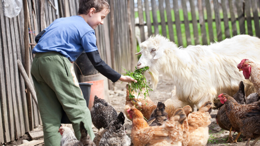 Prilika za mala poljoprivredna gazdinstva u BiH - projekat od 6 miliona KM